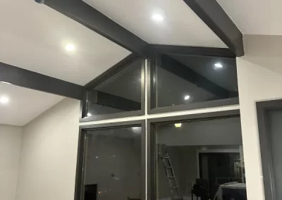 Professional Painter